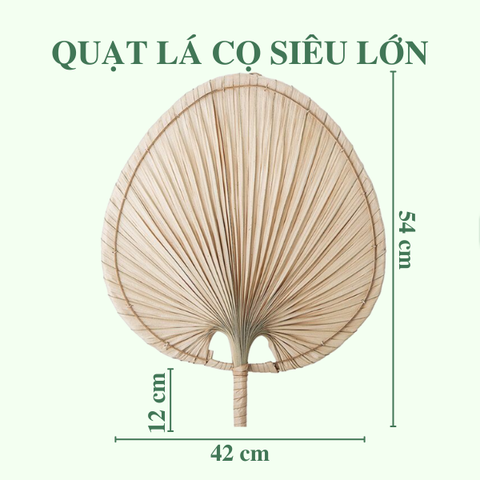 Quạt Lá Cọ - Quạt Cầm Tay Đan Thủ Công Decor / Treo tường
