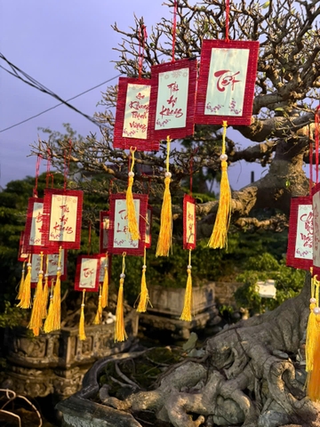 THẺ TREO Treo Trang Trí Tết - Tag mành tre treo mai đào