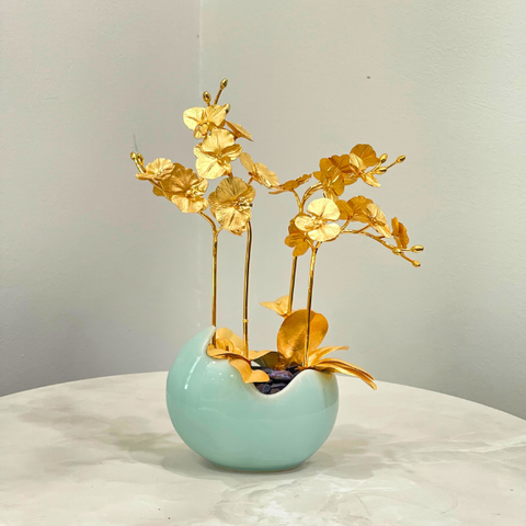 Hoa lan hồ điệp mạ vàng