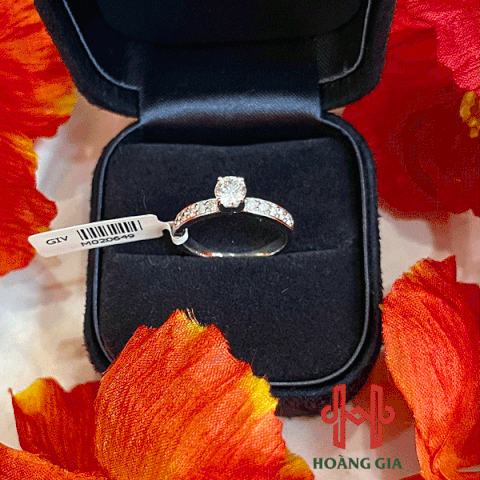 Nhẫn vàng trắng