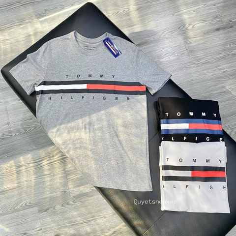 Áo Thể Thao Hè - Tommy Hilfiger Men's Regular sleeve logo t-shirt 