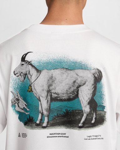 Áo Tshirt Chính Hãng - Nike ACG Men's Dri-FIT 'All Conditions Goat' White - FV3492-121