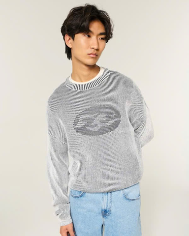 Áo Sweater Chính Hãng - Hollister Boxy Graphic Crew Sweater 