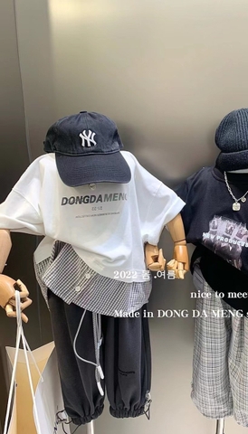 Áo phông cải sơ mi kẻ DongDameng