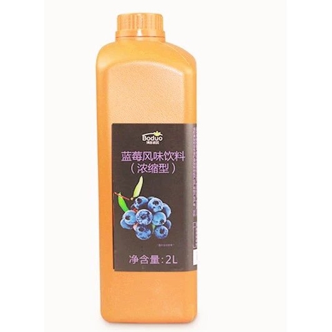 Siro Boduo 2 Lít - VIỆT QUẤT