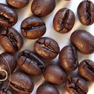 Culi Robusta S18 Cao cấp