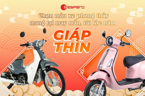 NÊN MUA XE ĐIỆN, XE MÁY MÀU GÌ VÀO NĂM GIÁP THÌN ĐỂ GIA TĂNG MAY MẮN, TÀI LỘC