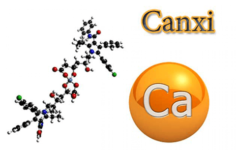 Phân biệt canxi vô cơ và canxi hữu cơ – Nên chọn sử dụng dòng canxi nào?