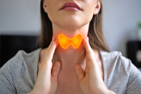 Tuyến Giáp Và Những Bệnh Lý Phổ Biến: Khi “Cánh Bướm Nhỏ” Gây Rối Loạn Cả Cơ Thể