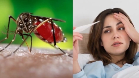 Sốt xuất huyết mới nhất: Cập nhật tình hình và cảnh báo từ Bộ Y tế