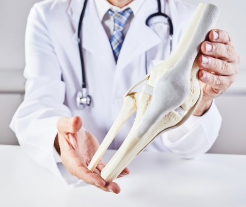 Công dụng các thành phần hỗ trợ xương khớp – Bộ ba Glucosamine, Chondroitin và MSM cùng Collagen type I