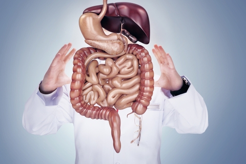 Ruột non và ruột già: Cặp đôi hoàn hảo trong hệ tiêu hóa mà bạn không nên bỏ qua