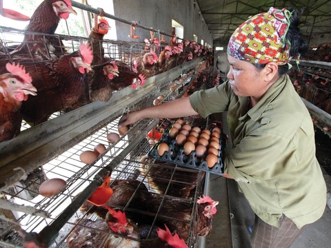 Ngành nào được dự báo tăng trưởng năm 2023