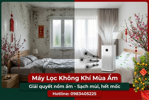 Máy Lọc Không Khí Mùa Ẩm: Giải Quyết Nồm Ẩm, Bảo Vệ Sức Khỏe Tại Bắc Giang