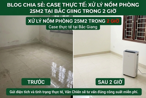 Mùa nồm tại Bắc Giang kéo dài bao lâu? Kinh nghiệm xử lý thực tế