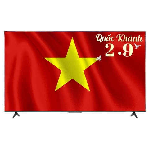 Google Tivi TCL LED 4K 55 inch 55P638
