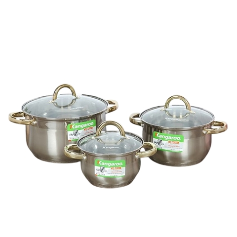 Bộ nồi Kangaroo KG866