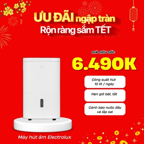 Máy hút ẩm Electrolux EDH10TRBW1