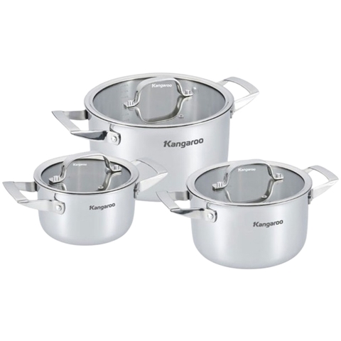 Bộ nồi Inox Kangaroo KG304IP2
