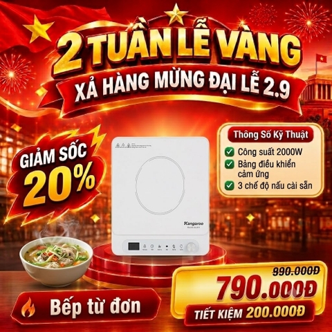 Bếp từ đơn Kangaroo KG20IC3