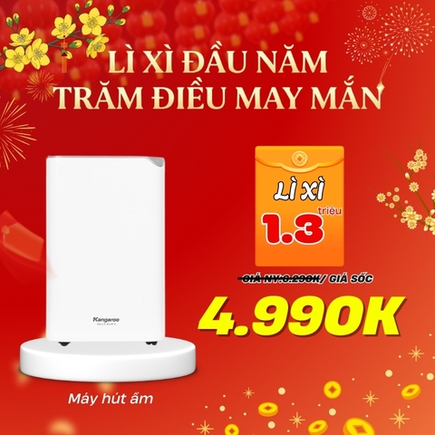 Máy hút ẩm Kangaroo KGDH20