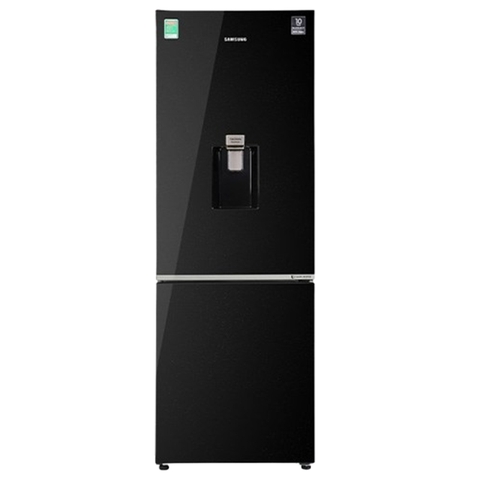 Tủ lạnh Samsung Inverter 307 lít RB30N4190BU/SV