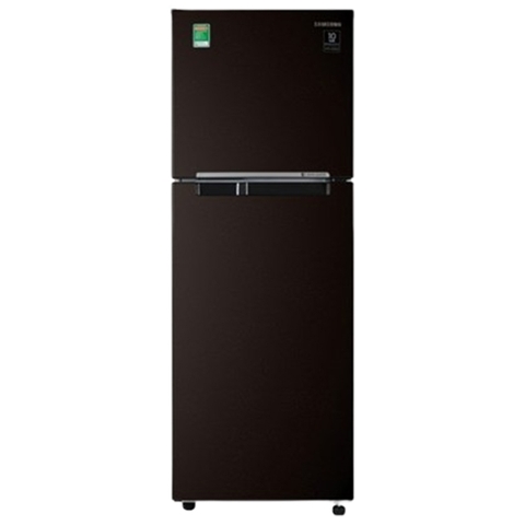 Tủ lạnh Samsung Inverter 236 lít RT22M4032BY/SV