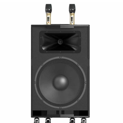 Loa Kéo Paramax Dansing HK-396