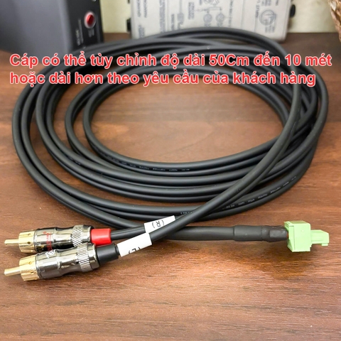 Dây 6pin Phoenix terminal Euro block sang 2 RCA cho bộ thiết bị hội nghị truyền hình Webex Room Kit Pro