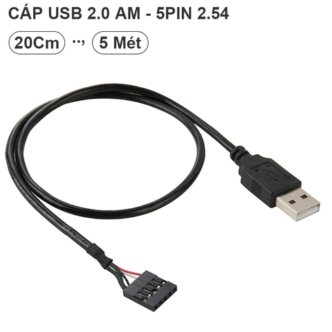 Dây USB type-A đực sang 5pin USB 2.0 trên bo mạch PC - 5 Pin Motherboard to USB Adapter Cable