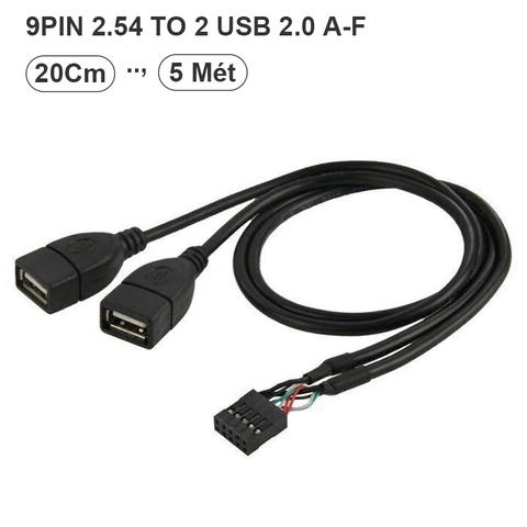 10 Pin Motherboard Female Header to Dual USB 2.0 Female Adapter Cable