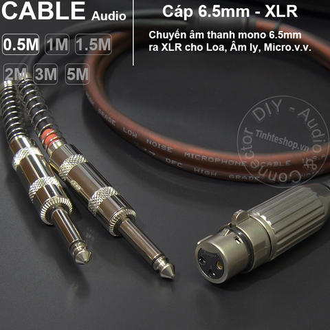 Dây jack canon cái ra 2 jack 6 ly mono DIY 0.5M đến 5M - XLR female to 2 6.35mm male mono cable