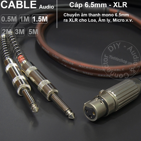 Dây jack canon cái ra 2 jack 6 ly mono DIY 0.5M đến 5M - XLR female to 2 6.35mm male mono cable