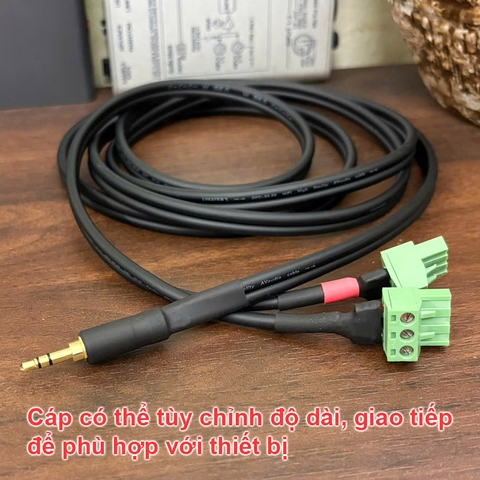 Cáp 3.5mm sang Euro block terminal 3pin cho Bộ xử lý tín hiệu âm thanh Biamp TesiraFORTÉ CI