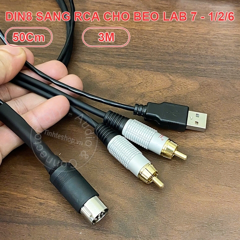 Dây DIN 8 sang RCA và USB power cho BeoLab 7 - Beolab 7 Powerlink cable