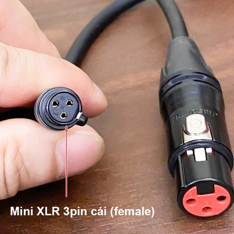 Cáp XLR đầu to sang XLR đầu nhỏ chuyển âm thanh cho Soundcard DAC AMP Camera