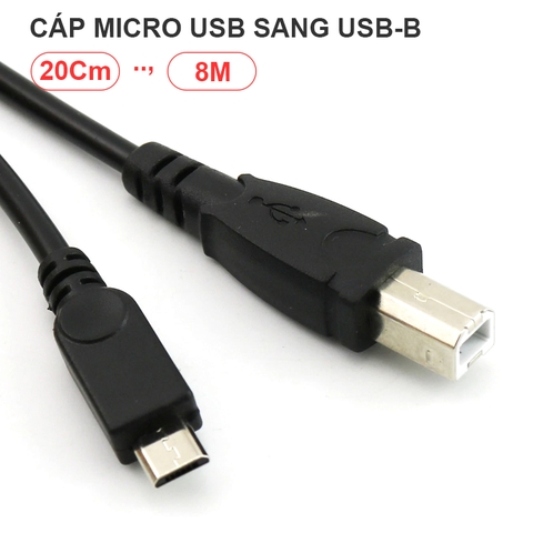 Cáp micro USB sang USB-BM cổng máy in - Cable - USB 2.0 Type B to USB Micro-B