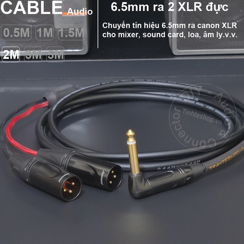 Dây 6 ly sang 2 canon đực DIY 0.5 đến 5 mét - 6.35mm mono to 2 XLR male audio cable