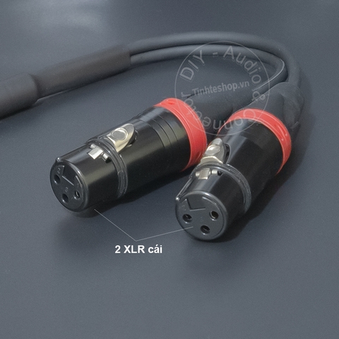Jack 2 đầu canon sang 3.5 cắm từ Mixer Sound card sang Tai nghe Loa - DIY 3.5mm female to 2 female XLR audio cable