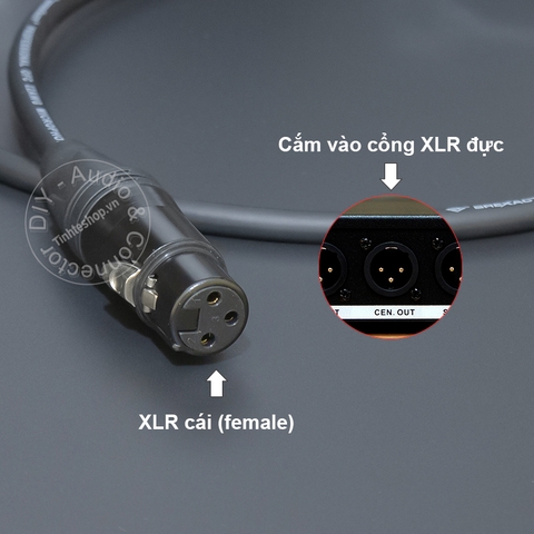 Cáp thu âm livestream 3.5mm sang XLR cho IOS vs Android - Recording cable from Equalizer to Laptop smartphone