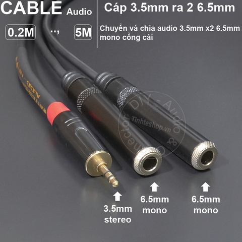 Cáp chia jack 6 ly ra 2 cổng 3.5 - 6.5mm stereo audio cable to 2 female 3.5mm ports
