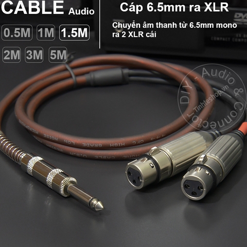 Dây 6 ly ra 2 canon đực DIY 0.5 đến 5 mét - 6.5mm mono to 2 XLR female cable
