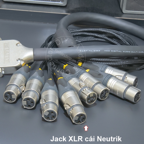 Dây DB25 sang 8 XLR AES/EBU MOGAMI