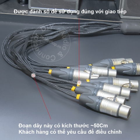 Dây DB25 sang 8 XLR AES/EBU MOGAMI