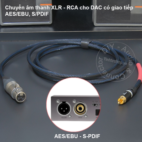 Dây AES/EBU canon sang AV 0.2 đến 10 mét - DIY AES EBU XLR female to RCA digital audio cable