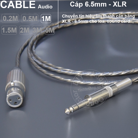 Dây canon sang TRS 6.5mm DIY chuyển âm thanh cho Mixer Sound card Loa kiểm âm - XLR female to 1/4 stereo cable