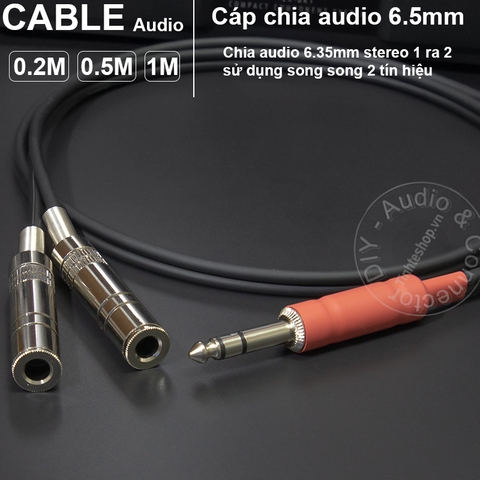 Cáp chia 6.5 ly stereo sang 2 đầu mono R-L