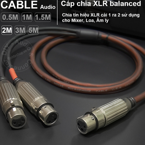 Cáp chia XLR cái sang 2 cái DIY 0.5M đến 5M - XLR splitter female 1 in 2 out