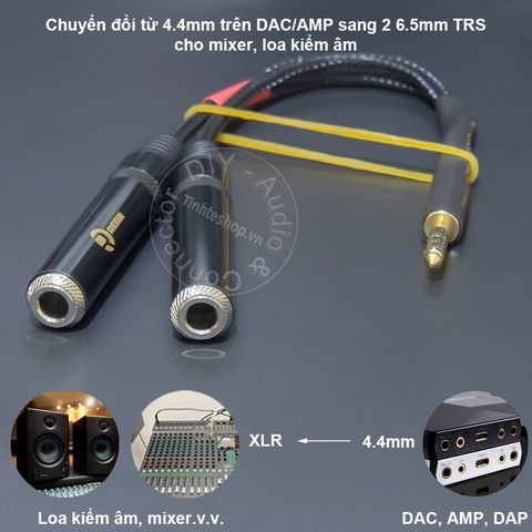 Cáp 4.4 sang 6.5mm TRS chuyển âm thanh từ DAC AMP sang loa kiểm âm - 4.4mm to 2 female TRS balanced audio cable