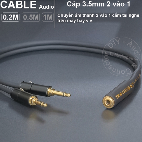 Jack cắm tai nghe 3.5mm trên máy bay gold 24K - In-flight headphone jack